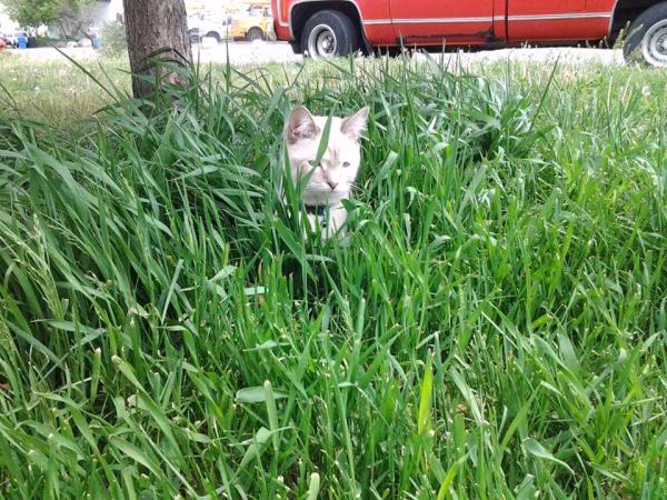 /Images/uploads/Humane Society of Utah/HSUCalendar/entries/1144thumb.jpg